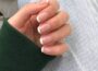 Nails Ideas French Tip Manicure 3
